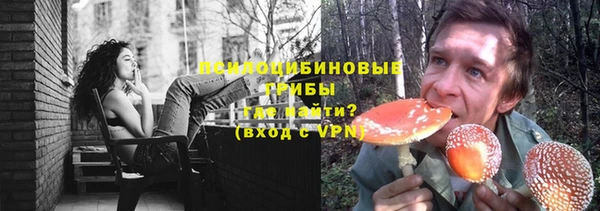 герыч Алексин