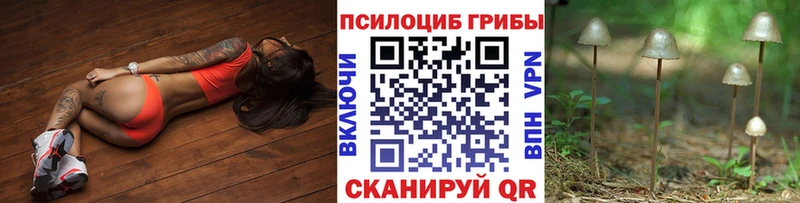 Псилоцибиновые грибы Psilocybe  хочу   Петропавловск-Камчатский 